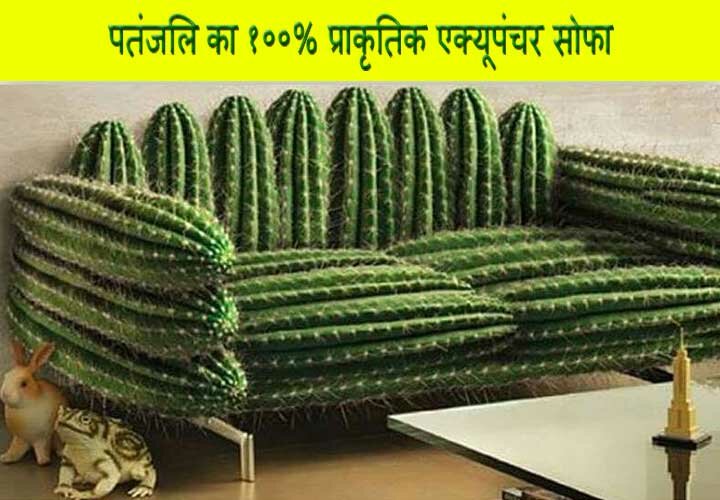 Funny Patanjali Sofa