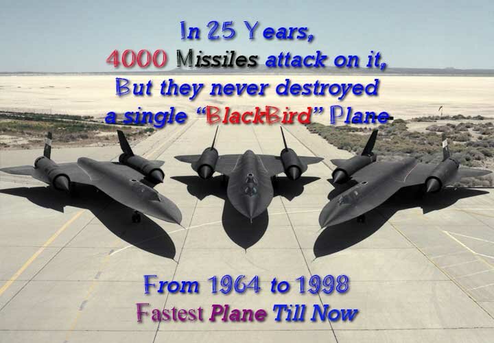 Blackbird Spy Plane of US Air Force