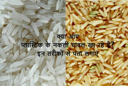 Plastic Rice